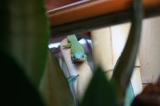 Web-foto 3.JPG
