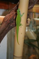 Web-foto 10.JPG