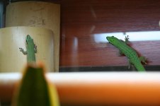 Web-foto 5.JPG