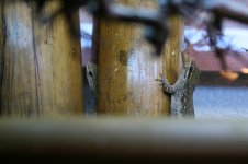 Web-foto 21.JPG
