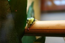 Web-foto 22.JPG