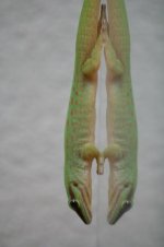 Web-foto 24.JPG