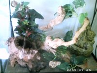 PHOT0114.JPG