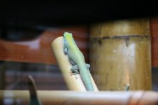 Webfoto berghofi 2.JPG