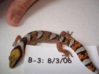 female1.jpg