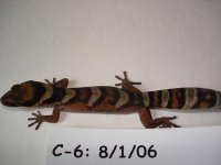 female2.jpg