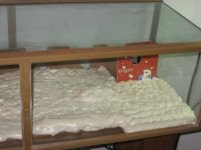 Wip 002.jpg Wip 002.jpg