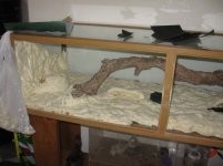 Wip 011.jpg Wip 011.jpg