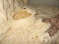 Wip 013.jpg Wip 013.jpg