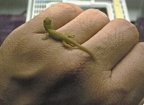 PLL Pr1_HD_08 04 03.jpg