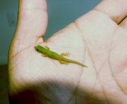 PLL Pr1_HD 08 04 02.jpg