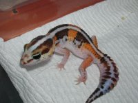 pc pics 159.jpg