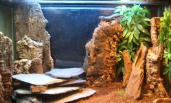 Cordylus Enclosure 1 sm.jpg