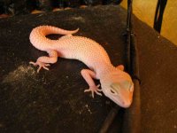 IMG_3123(small).jpg