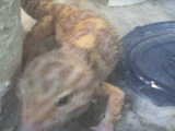 DSC00111.JPG