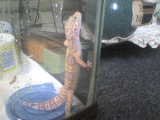 DSC00107.JPG