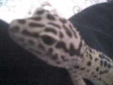 DSC00121.JPG