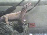 DSC00112.JPG