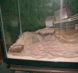 cloud & drake's cage 6.jpg