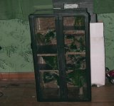 crested cage 10.jpg