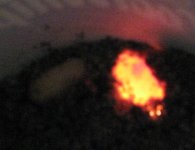 IMG_0995.JPG