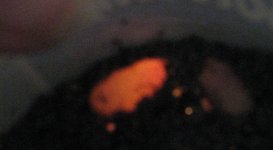 IMG_0996.JPG