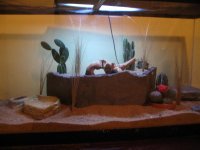 new tank 1.jpg