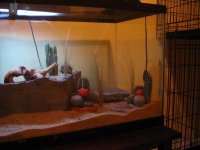 new tank 2.jpg