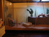 new tank 3.jpg