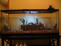 new tank 4.jpg