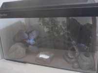 2011-09-04 23.40.19.jpg