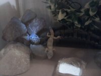 2011-09-04 23.44.08.jpg