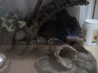 2011-09-07 00.07.50.jpg