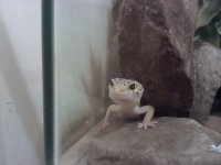 2011-09-07 00.02.27.jpg