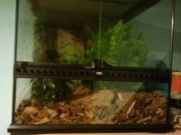 2011-09-06 21.40.02.jpg