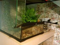 2011-09-06 21.40.49.jpg