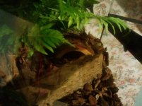 2011-09-06 21.40.42.jpg