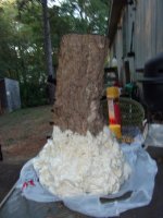 DSCF1175.jpg