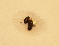 100_3325.jpg