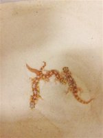 2011-10-02 18.55.16 (Small).jpg