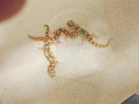 1317596066814 (Small).jpg