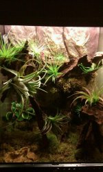 vivarium1.jpg