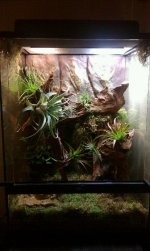 vivarium3.jpg