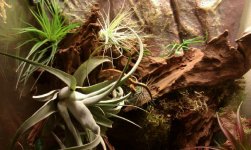 vivarium2.jpg