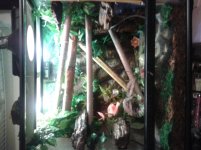 2012-01-23 20.25.04.jpg