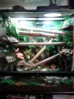 2012-01-23 20_25_04.jpg