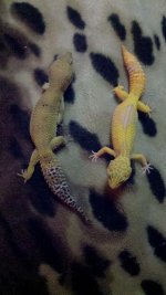 2012-02-28_13-04-38_761.jpg