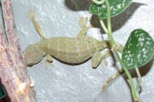 DSC03608a.jpg
