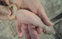 20120706_103316-1.jpg