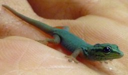 july 30 hatch close up.jpg